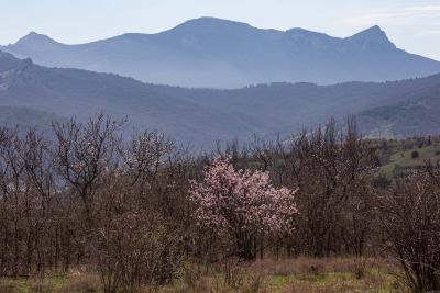 Прикрепленное изображение: IMG_7725.jpg